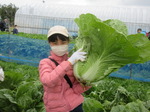 20201123野菜収穫6.JPG