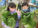 20201123野菜収穫9.JPG