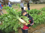 20211123野菜収穫体験6.JPG