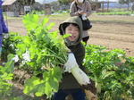 20211123野菜収穫体験7.JPG
